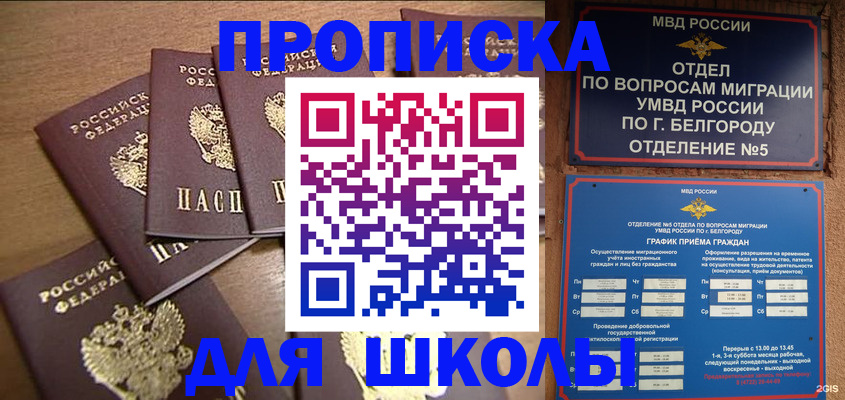 прописка гарантия в Козельске